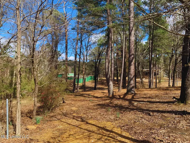 191 Evergreen Drive, Water Valley, MS 38965