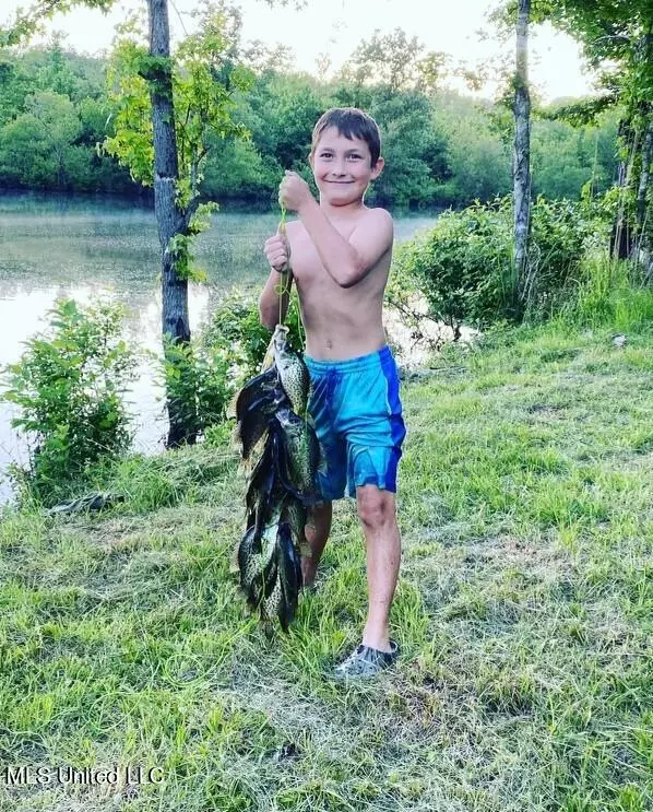 Sallis, MS 39160,0 Attala County Road 4167