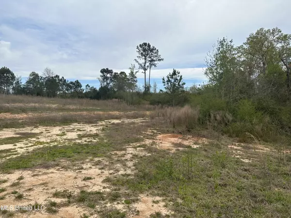 Pulaski, MS 39152,240 Mill Branch Road