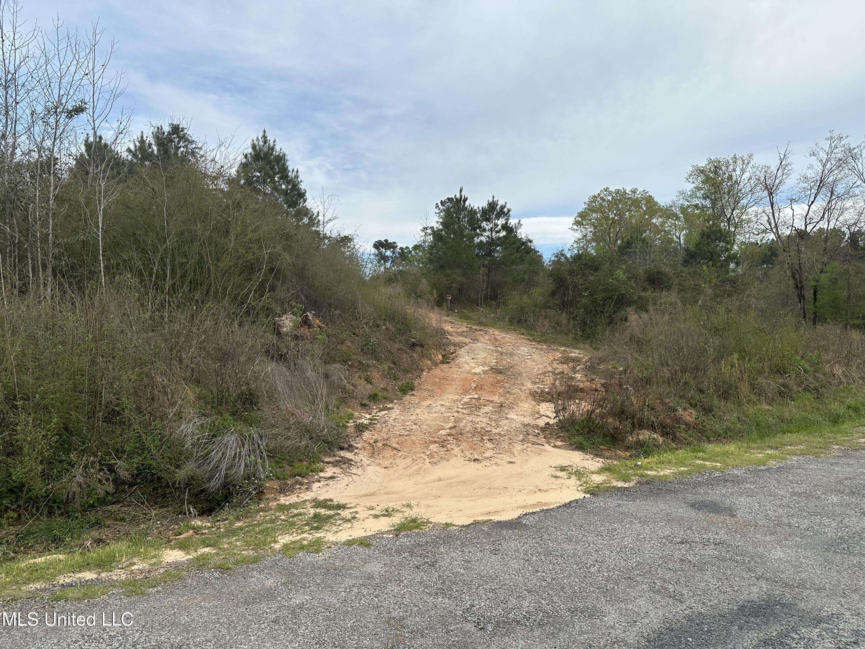 240 Mill Branch Road, Pulaski, MS 39152