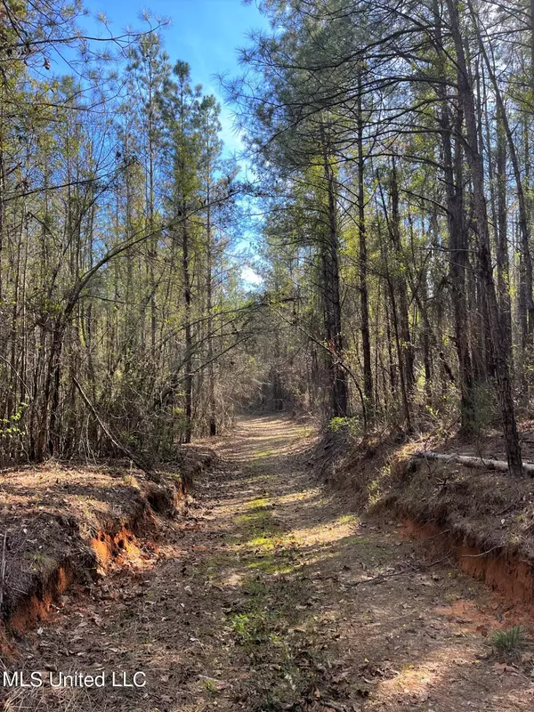 De Kalb, MS 39328,0 Turner Road