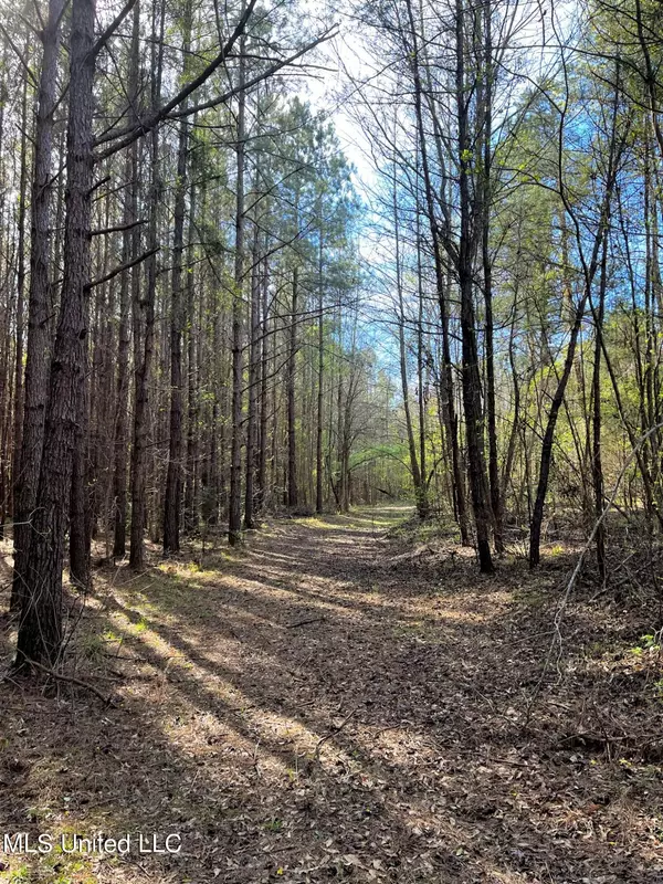 De Kalb, MS 39328,0 Turner Road