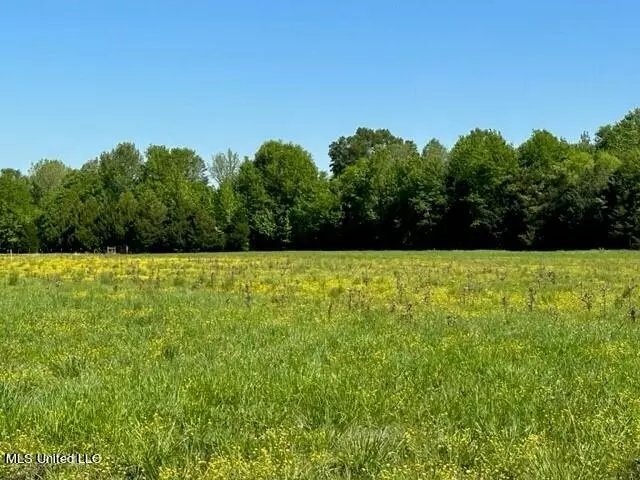 0 Cane Creek Road Lot #7, Flora, MS 39071