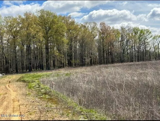 Majors Lane, Yazoo City, MS 39194