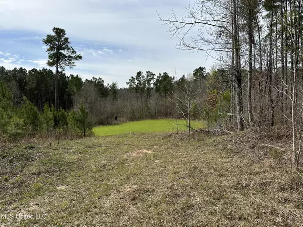 Ethel, MS 39067,Attala Cr 3223