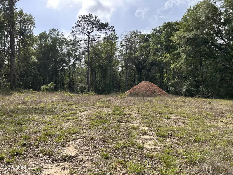 58 Doubloon Drive, Carriere, MS 39426
