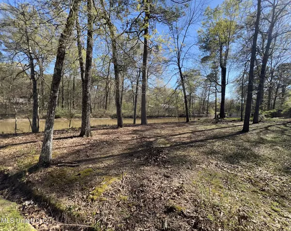 Brandon, MS 39047,106 Holly Trail