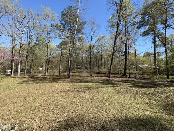 Brandon, MS 39047,106 Holly Trail