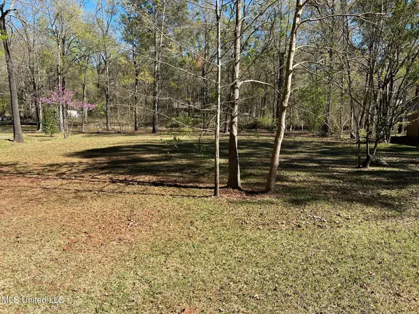 Brandon, MS 39047,106 Holly Trail