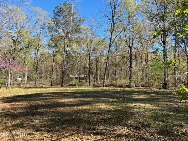 Brandon, MS 39047,106 Holly Trail