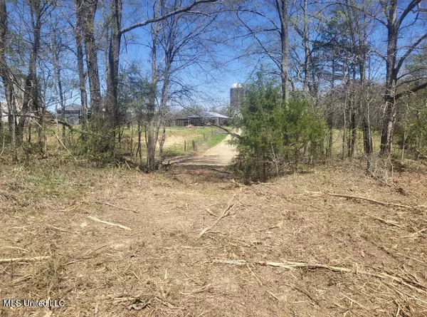 Hernando, MS 38632,3 Holly Springs Road