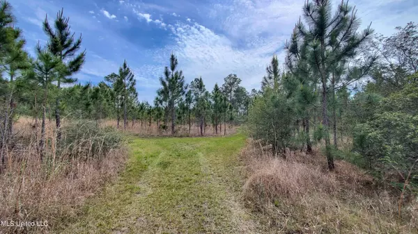 Lucedale, MS 39452,Section Road