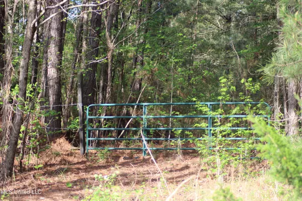 Kosciusko, MS 39090,Hwy 43