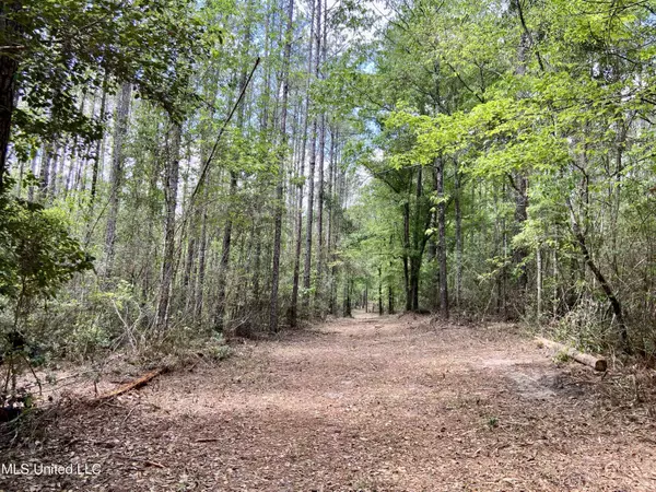 Lucedale, MS 39452,Basin Refuge Road