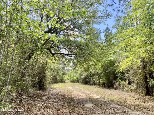 Lucedale, MS 39452,Basin Refuge Road