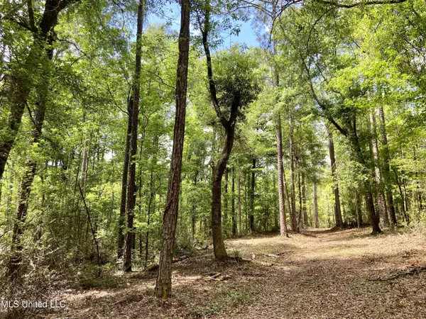 Lucedale, MS 39452,Basin Refuge Road