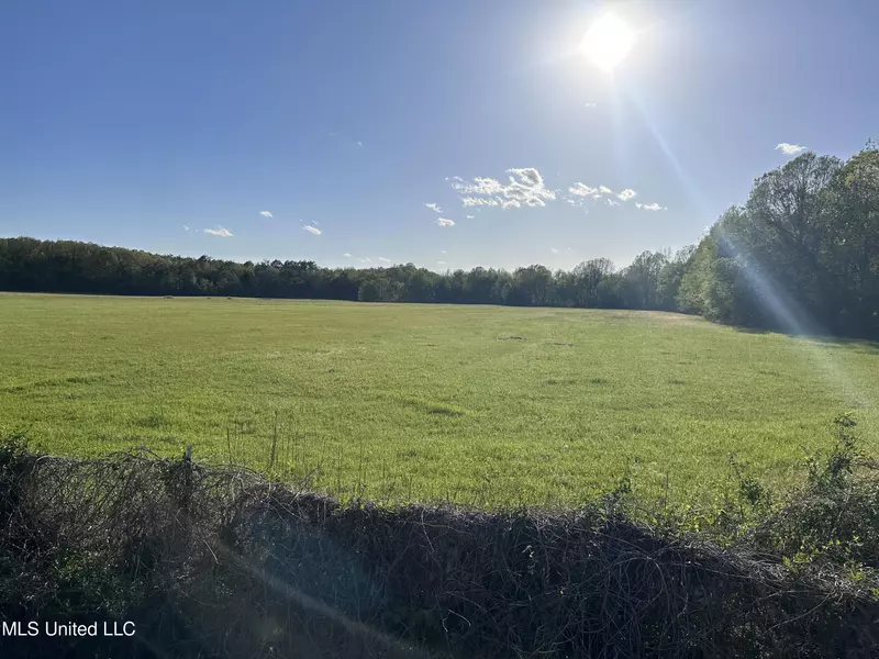 0 Mccauley Road, Red Banks, MS 38661