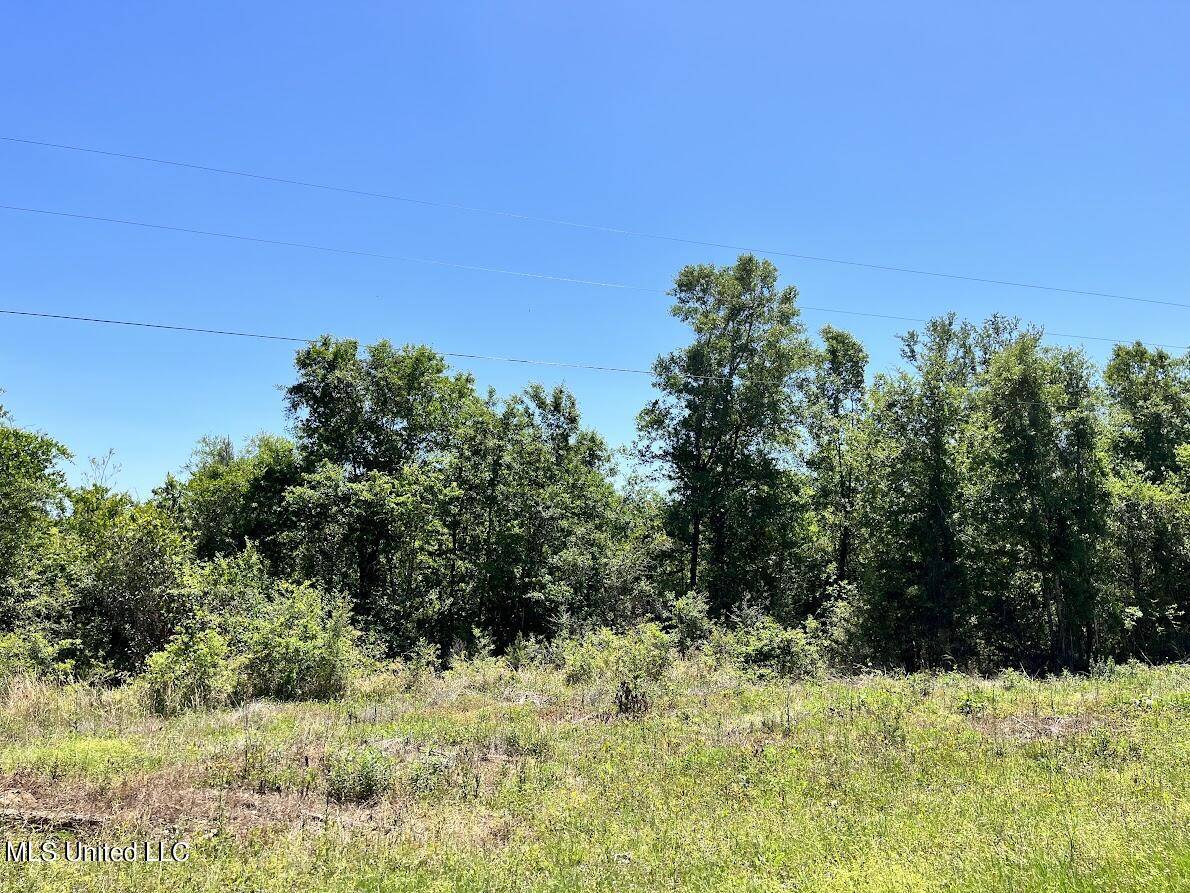 Kiln, MS 39556,531 Fenton Dedeaux Road