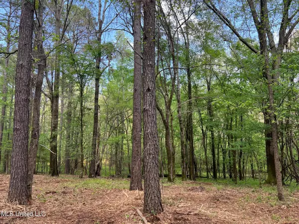 Flora, MS 39071,Spring Creek Rd