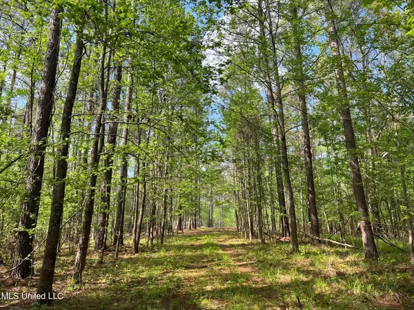 Flora, MS 39071,Spring Creek Rd