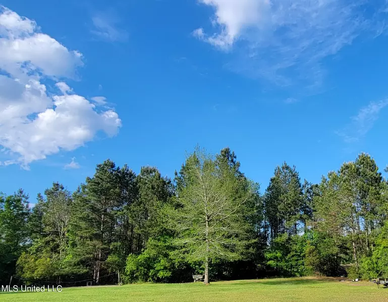 793 W Mchenry Road, Mchenry, MS 39561