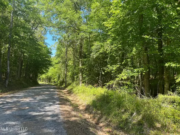 Mill Branch Road, Pulaski, MS 39152