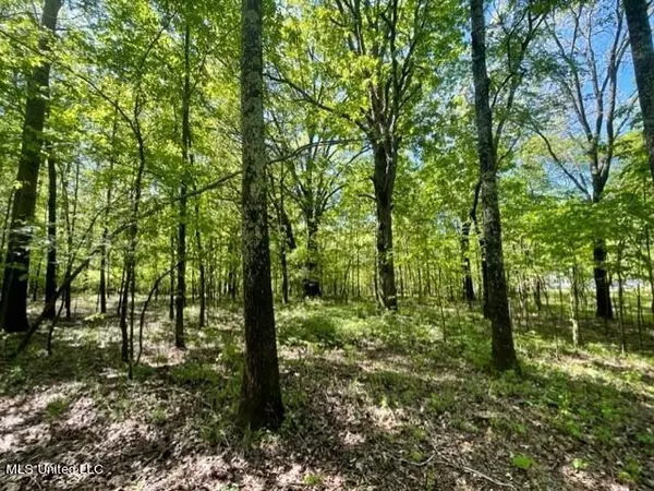 0 Lee Creek Rd Road, Byhalia, MS 38611