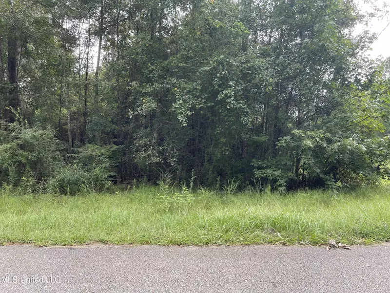 0 Treasure Point, Carriere, MS 39426