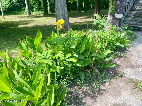 Lucedale, MS 39452,2100 Pascagoula River Drive