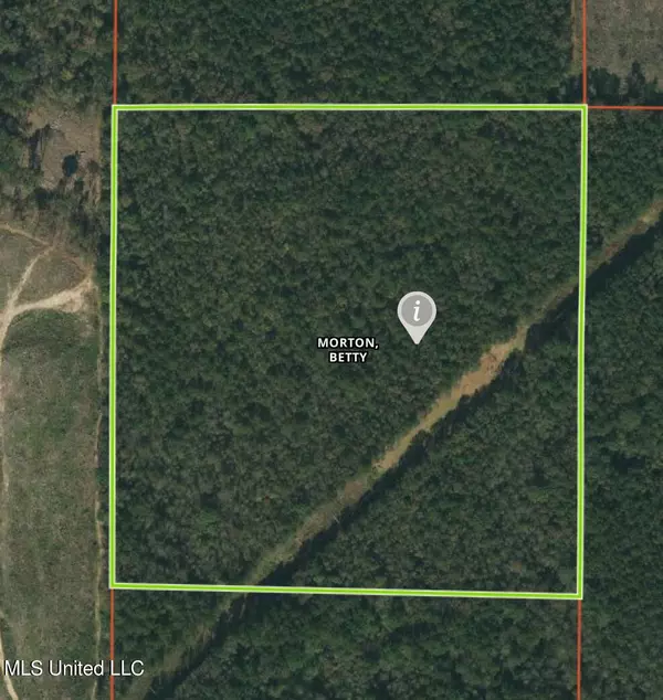 Smith Co Rd 502, Pulaski, MS 39152