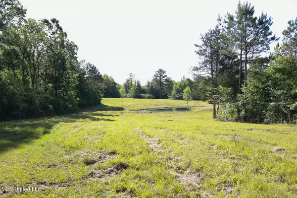 Canton, MS 39046,1128 Sharon Road