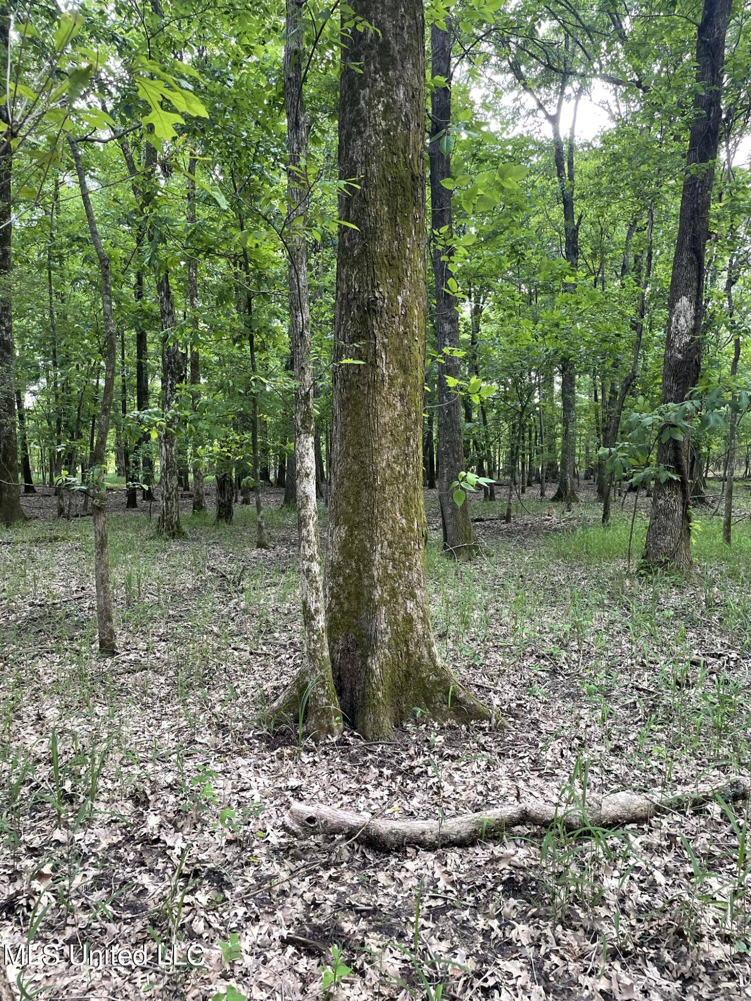 Marks, MS 38646,Jossell Road