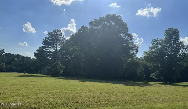 0 Pearlie Owens Drive, Byram, MS 39272