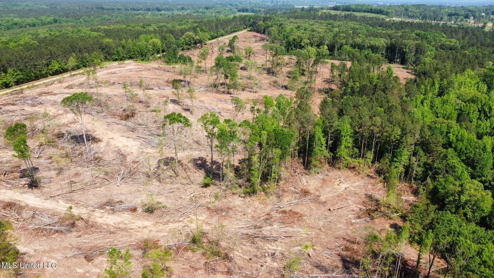 County Road 205, Mantee, MS 39751
