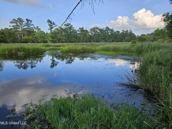 Bay Saint Louis, MS 39520,0 Paradise Lane