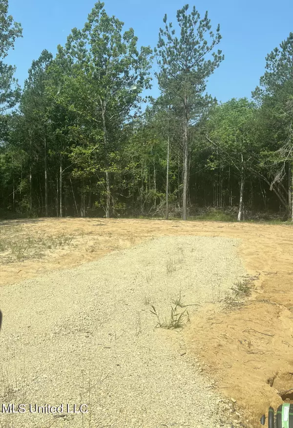 155 Hidden Acres Lane, Braxton, MS 39044