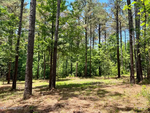 Spring Creek Rd, Flora, MS 39071