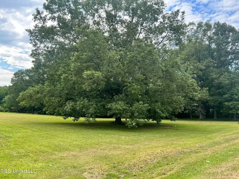 N Brooks Avenue, Pelahatchie, MS 39145