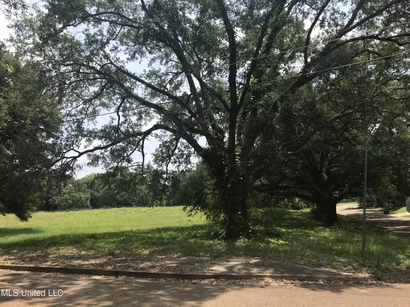 0 Moore Street, Woodville, MS 39669