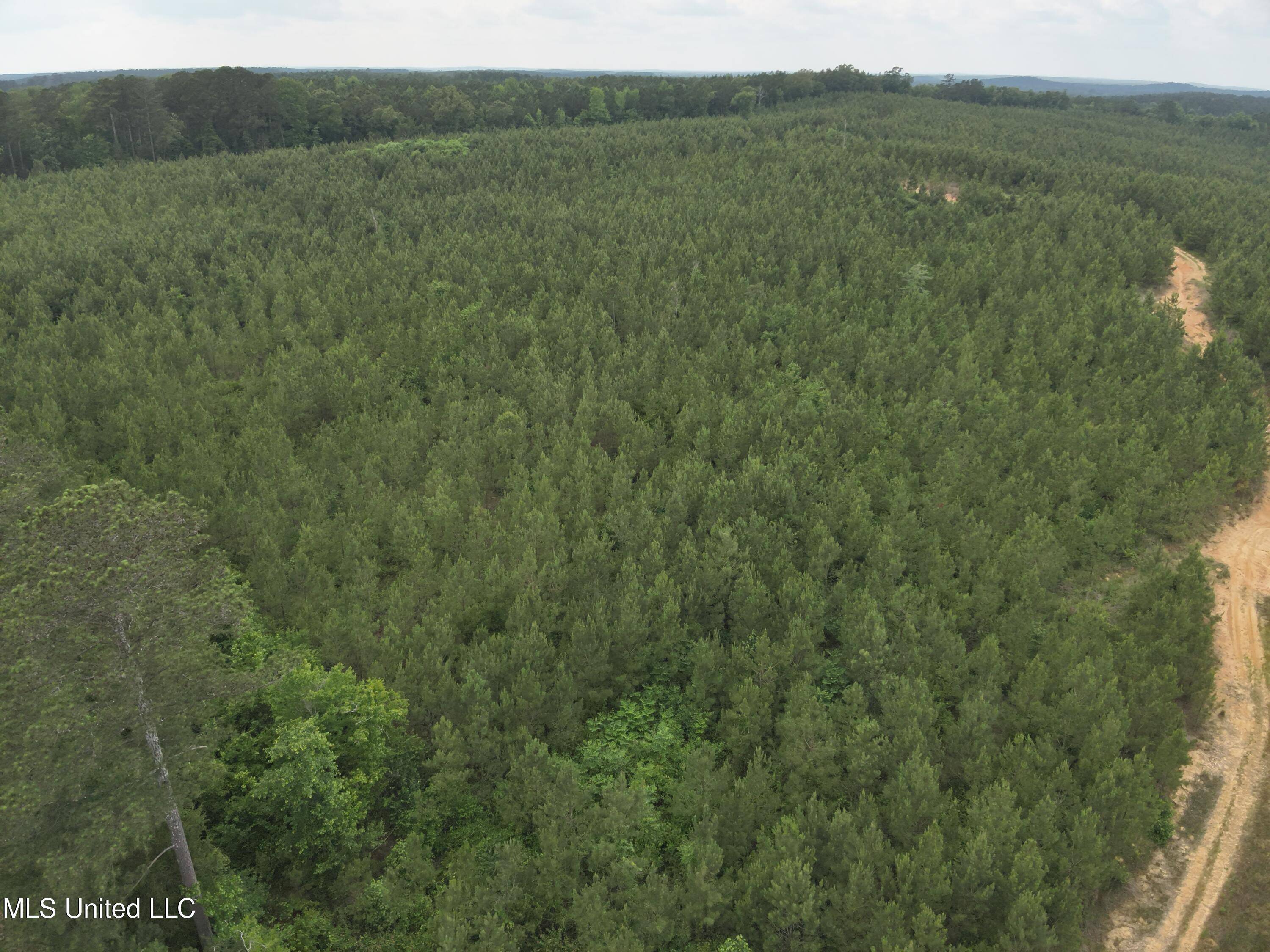 Kosciusko, MS 39090,Old Pickens Rd Road
