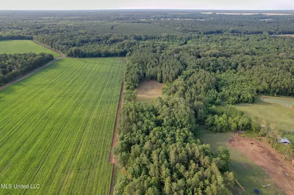 Red Oak Road, Pelahatchie, MS 39145