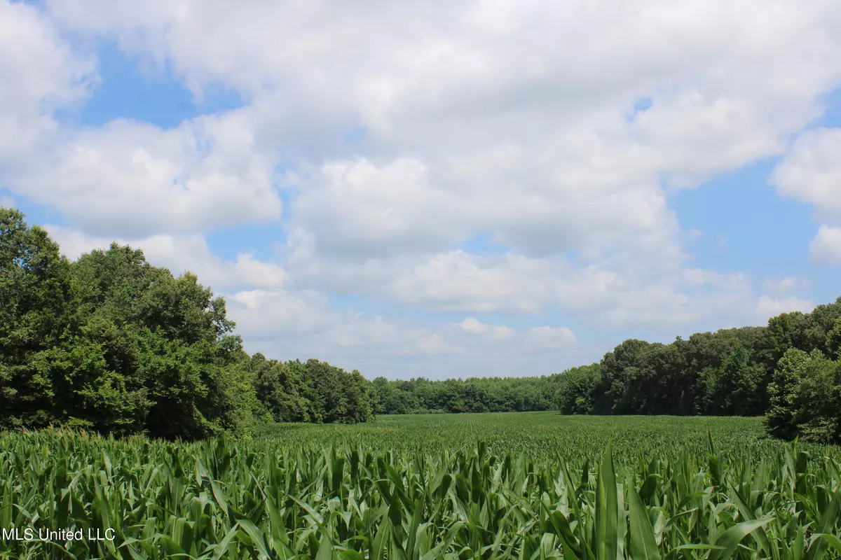 Michigan City, MS 38647,1200 Dorse Road