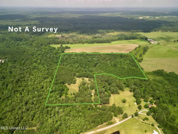 75 Eviction Road, Lumberton, MS 39455