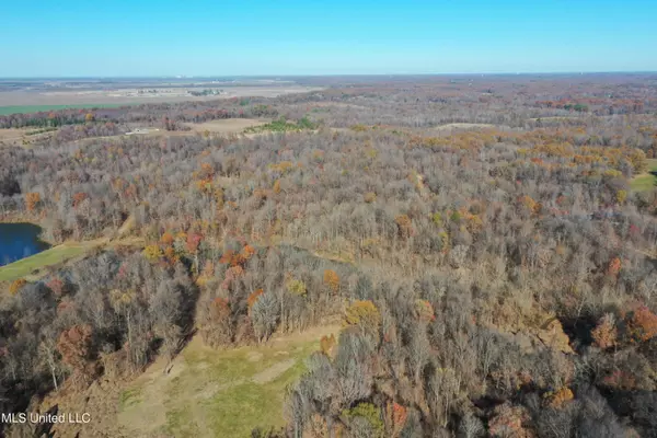 Lake Cormorant, MS 38641,10150 Green River Road