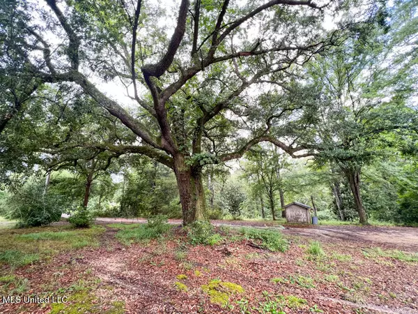 Lucedale, MS 39452,2188 Salem Campground Road