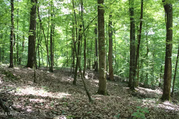 Yazoo City, MS 39194,4001 Perry Creek Rd. Road