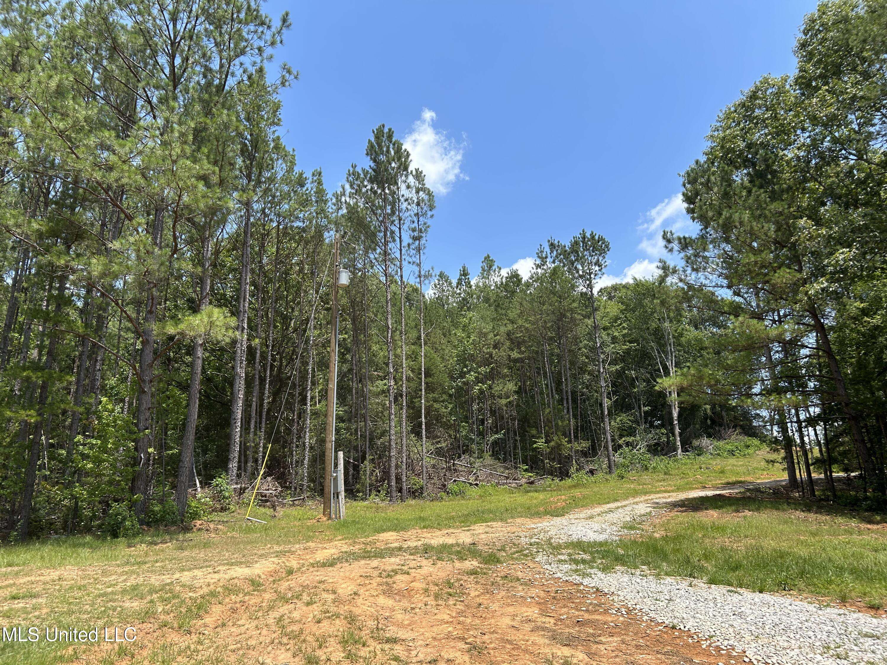 Myrtle, MS 38650,Off County Road 51