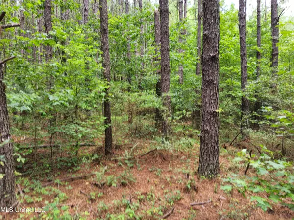 Prentiss, MS 39474,Old Hebron Road Road