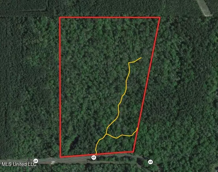 Hwy 43, Oak Vale, MS 39656