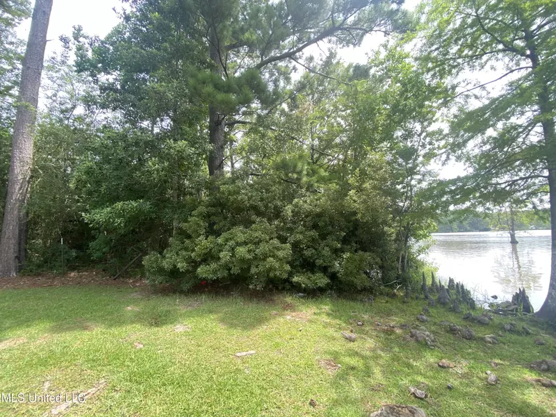 272 Lakeside Drive, Carriere, MS 39426